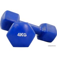 Набор гантелей Protrain TA-2103-4 2x4 кг