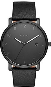 

Наручные часы Skagen SKW6308