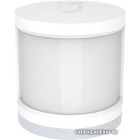 Датчик Xiaomi Human Body Sensor (международная версия)