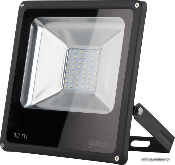 Уличный прожектор Gauss LED 30W IP65 6500K 613100330 (черный)