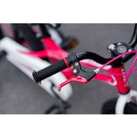 Детский велосипед Lenjoy Sports Pilot 16 LS16-9P (розовый)