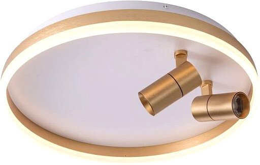 

Припотолочная люстра Zortes Raizy ZRS.1888.02