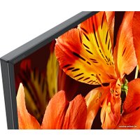 Телевизор Sony KD-55XF8505