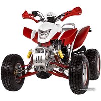 Квадроцикл IRBIS ATV 250S
