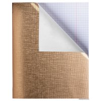 Общая тетрадь Hatber Metallic 96Т5бвВ1 (золотистый)