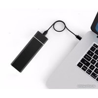 Бокс для накопителей M.2 USBTOP M.2 NVME - USB-C/USB-C (10 Гбит/с, черный) в Витебске