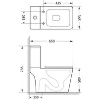 Унитаз напольный Lauter W09 S-TRAP 21900003 + гигиенический душ Rainix 21LT7713MW (вертикальный выпуск)