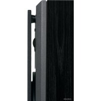 Напольная акустика Dynaudio DM 3/7