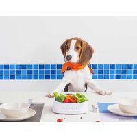Миска Petkit Smart Weighing Bowl (белый)