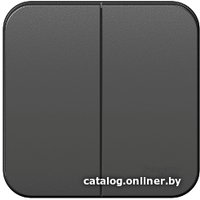 Выключатель Schneider Electric Blanca BLNVA105016