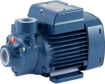 Нормальновсасывающий насос Pedrollo PKm 60