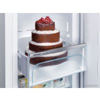 Холодильник Liebherr ICNe 5133 Plus NoFrost