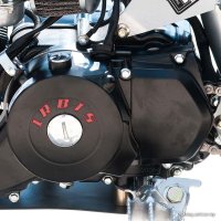 Мотоцикл IRBIS TTR 110