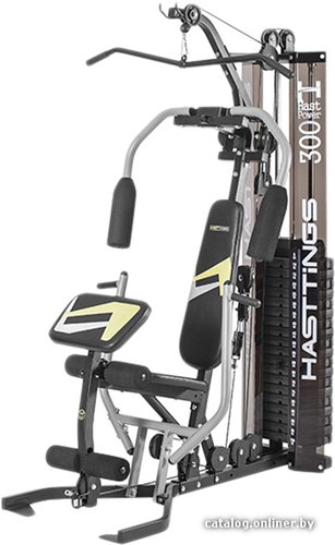 Силовая станция Hasttings HastPower 300