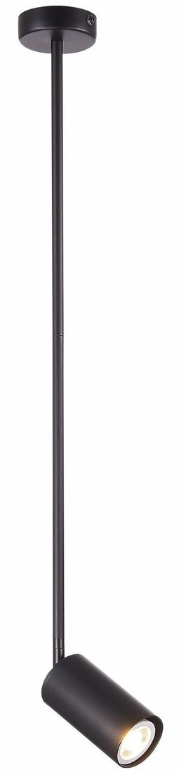

Подвесная люстра ST Luce Sormano SL1206.403.01