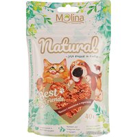 Лакомство для собак Molina Best Friends Natural Чипсы с ягненком и треской 40 г