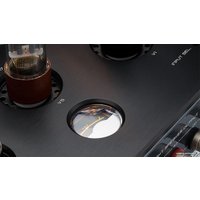 Интегральный усилитель Cayin M-845I