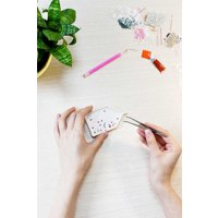 Алмазная мозаика  Феникс+ Пионы 68628