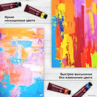 Акриловые краски BRAUBERG Art Premiere 191781 (12 шт)