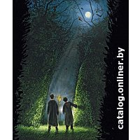 Книга издательства Махаон. Гарри Поттер и Кубок Огня 9785389133198 (Роулинг Дж.)