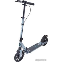 Двухколесный подростковый самокат Ridex Micra (серый)