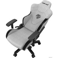 Игровое (геймерское) кресло AndaSeat T-Pro 2 (серый/черный)
