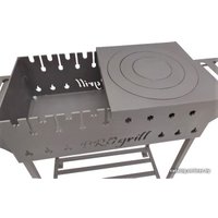 Мангал для дачи Progrill Техас вуд (5 мм)