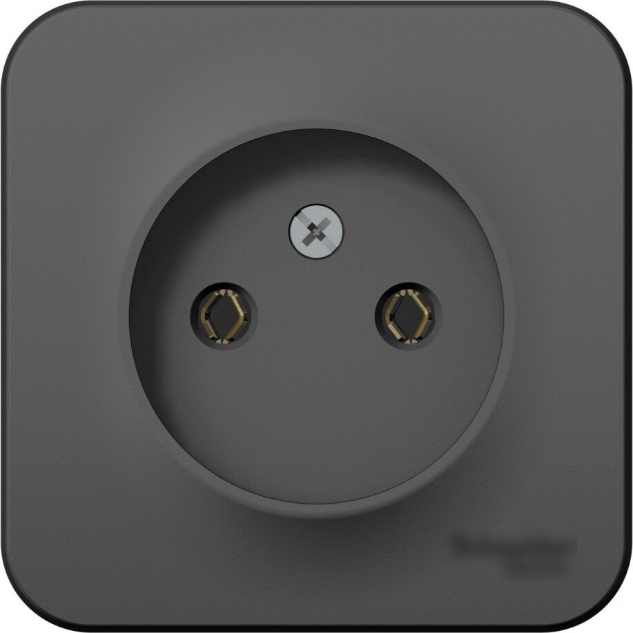 

Розетка Systeme Electric Blanca BLNRA000116 (антрацит)