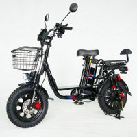 Электровелосипед Smart Balance Master 2025