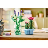 Конструктор LEGO The Botanical Collection 11509 Цветущий кактус в горшке