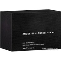 Туалетная вода Angel Schlesser Homme edT (75 мл)