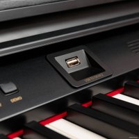 Цифровое пианино Rockdale Fantasia RDP-7088 (черный)