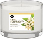 Scented Candle Orange Blossom And Eucalyptus Ароматическая 115 г