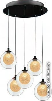 Подвесная люстра iLedex Oblivion C4457-5R CR