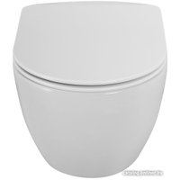 Унитаз подвесной Cezares Comfort CZR-191-TH/CZR-2316-SC в Борисове