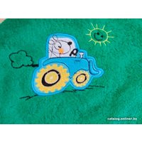 Полотенце с капюшоном Goodness Детское 100x100 (зеленый/уточка)