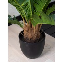 Искусственное растение Merry Bear Home Decor Пальма Саговая Цикас AR23065