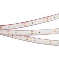 Светодиодная лента Arlight RTW-PFS-A60-11mm 034006 в Солигорске