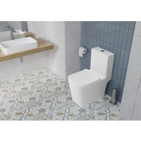 Унитаз напольный Lauter W09 S-TRAP 21900003 + гигиенический душ Rainix 21LT7713MW (вертикальный выпуск)