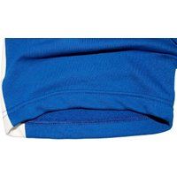 Шорты Рэй-Спорт Самбо 170 (синий)