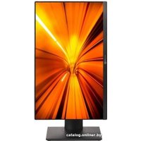 Моноблок ТЕСЛА P24BP 2108500