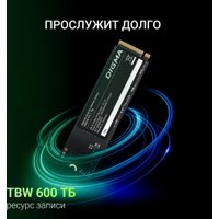 SSD Digma Mega P5 1TB DGSM3001TP53T