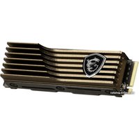 SSD MSI Spatium M570 HS 2TB S78-440Q560-P83