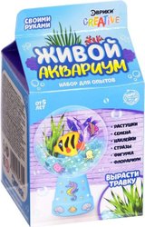 Живой аквариум-флорариум 5185630