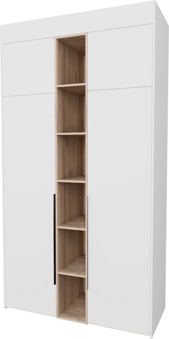 

Шкаф распашной Рэйгрупп Рэй S257-В4-EBЕ В4 (дуб элисон/белый премиум)