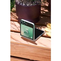 Телефон Samsung Galaxy Z Flip6 SM-F741B 12GB/512GB (мятный) и наушники Galaxy Buds3 Pro (серебристый) по акции