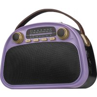 Радиоприемник Ritmix RPR-040 (лавандовый)