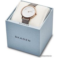 Наручные часы Skagen SKW2739 в Барановичах