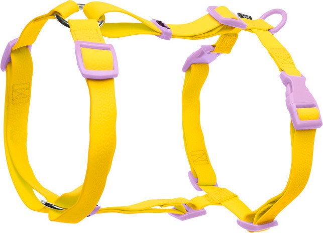 

Шлея Triol Лимонная черника 11391004 (S, желтая)