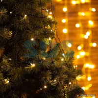 Светодиодная гирлянда Neon-Night Елочная гирлянда с кольцом 1.8 м, 235-086